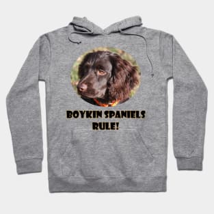 Boykin Spaniels Rule! Hoodie